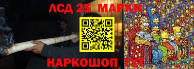 амф Кандалакша