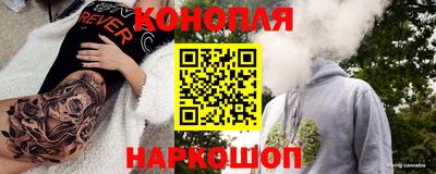 МДПВ Кингисепп