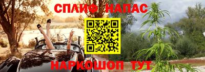 амф Кандалакша