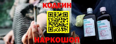 МДПВ Кингисепп
