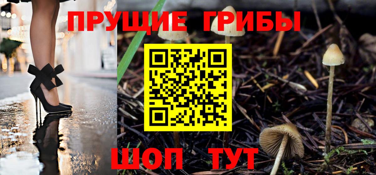 Псилоцибиновые грибы ЛСД Кудымкар